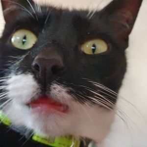 Meet your Posher, Maria